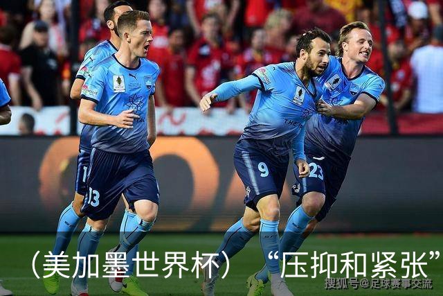 （美加墨世界杯）“压抑和紧张”中的伊朗队首秀